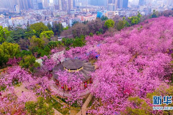 世界排名第一斯诺克运动员成为香港居民，本人回应：因为我女朋友